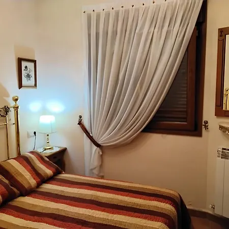 Vut Castano Navacarros